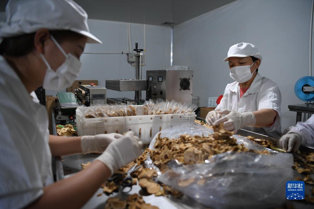 申慱娱乐网站